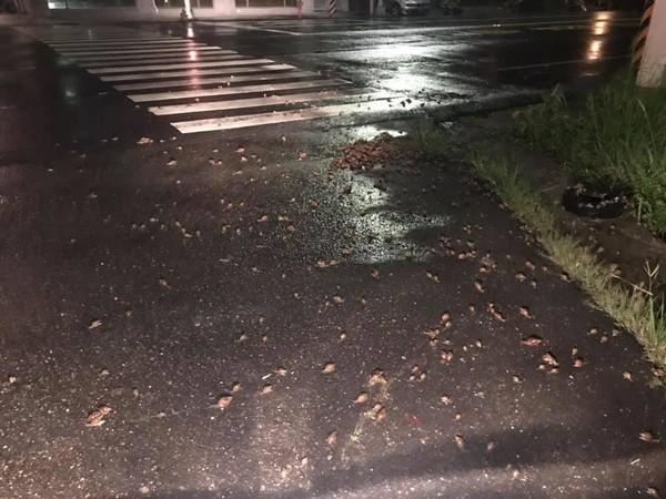 路邊驚見「蝸牛海」!超密集「啵啵黏液趴」全交疊 網嗨:這賺翻了