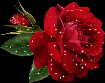 “花 gif”的图片搜索结果