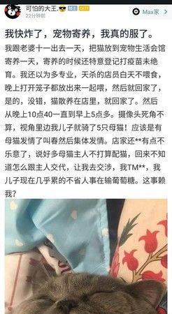 多人才會爽!放寵物旅館忘結紮「一夜騎五母貓」被榨乾!累到虛脫掛點滴...網:反觀台男