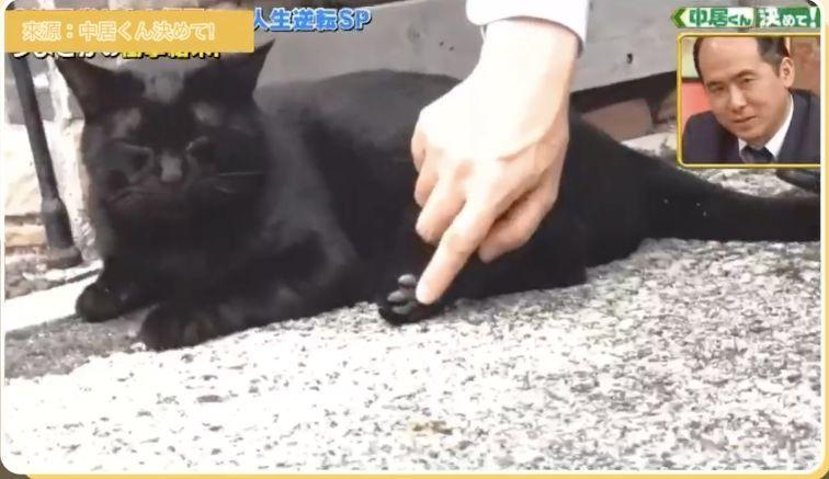 人間錦鯉魚4ni!他用3年敗光頭彩獎金 現況竟是再次成為億萬富翁...:暴富擋不住啊