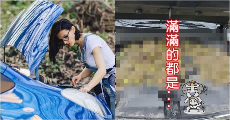車裡聞到燒焦味?她打開引擎蓋檢查竟發現多達200顆XX在裡面...:兇手露面秒傻眼
