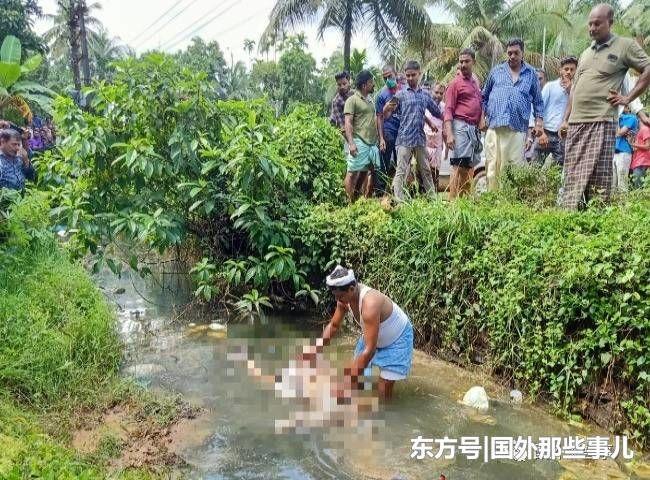 印度一名男子工作很特殊!「36年收集3000多具__」恐怖真相曝光…讓人望而生畏!