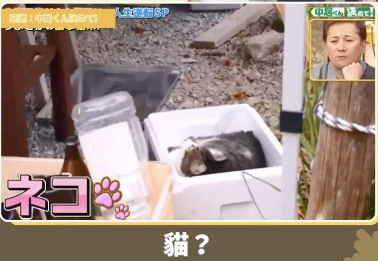 人間錦鯉魚4ni!他用3年敗光頭彩獎金 現況竟是再次成為億萬富翁...:暴富擋不住啊