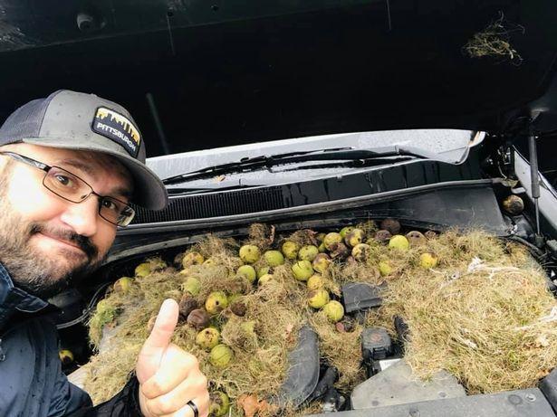 車裡聞到燒焦味?她打開引擎蓋檢查竟發現多達200顆XX在裡面...:兇手露面秒傻眼