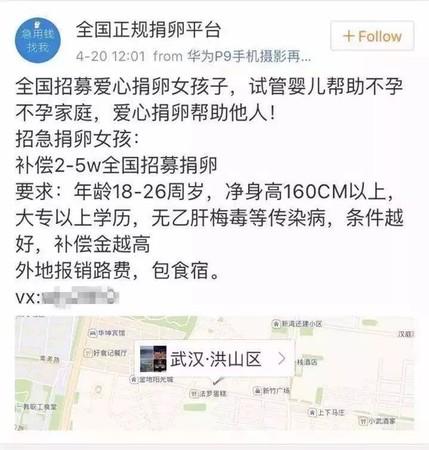 女大生為買iPhone借高利貸! 她「盲捐取卵+裸貸」仍還不完債