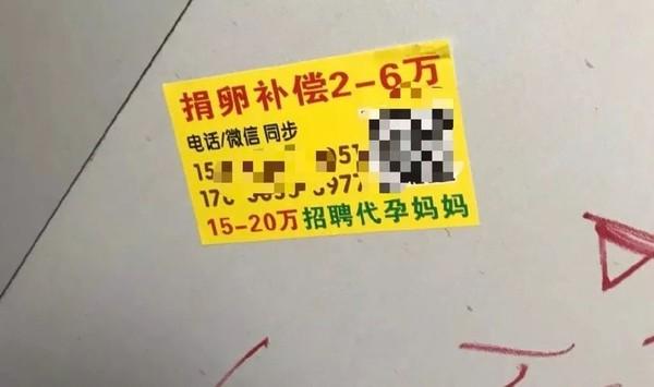 女大生為買iPhone借高利貸! 她「盲捐取卵+裸貸」仍還不完債