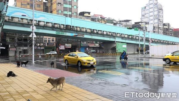 基隆透天600萬有找!她納悶天龍人「寧願買土城」? 過來人曝:整年在下雨