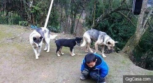 3搞笑內涵趣圖：這是熱還是冷啊！！！ 難道是傳說中的基友嗎？ 包你笑到不行
