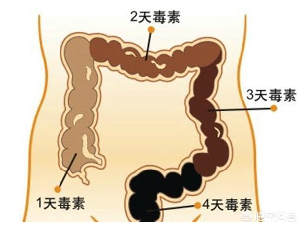 英國一少年因嚴重便秘離世，便秘真的如此可怕嗎？
