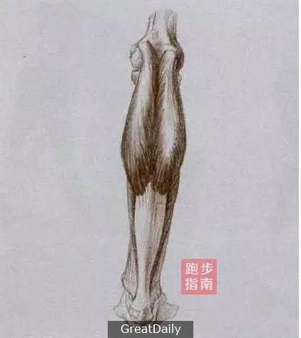 拉筋的正確方式 擁有細長小腿