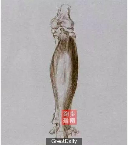 拉筋的正確方式 擁有細長小腿