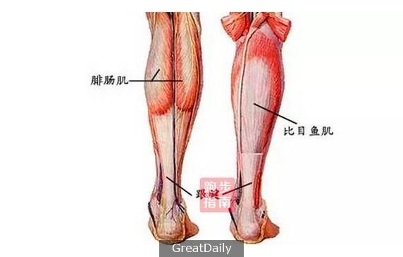 拉筋的正確方式 擁有細長小腿