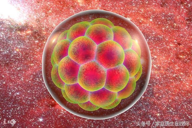 什麼會影響癌細胞的生長速度？醫生大聲地說出了這4件事