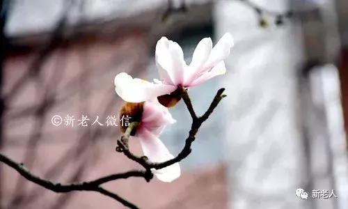 女人，想要活得漂亮，牢記這18句話！(不管你奔幾都要看)