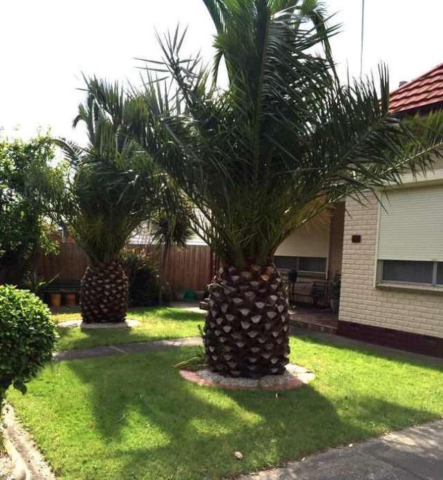 15236740084041.jpg