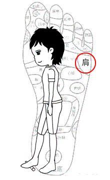 真正適合女性練習的瘦身動作,睡前花3分鐘,幫助燃燒體內脂肪,還能緩解肩膀酸痛