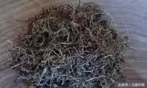 只需聞一聞這株草，多年鼻炎不藥而愈