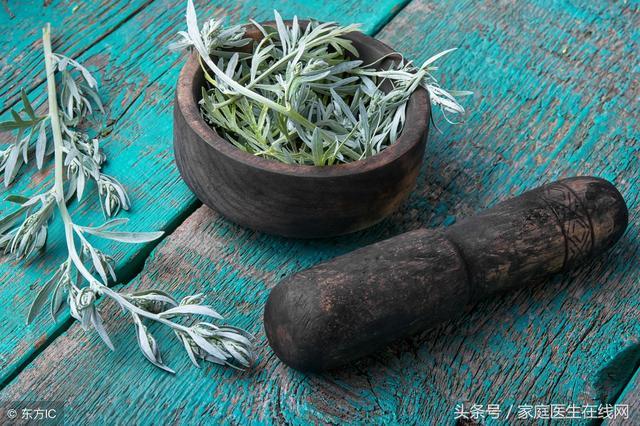 艾草取葉煮水喝，2大功效享用不盡，很多人卻當垃圾扔了！