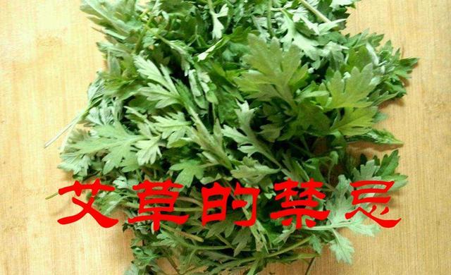 艾草的功效、作用、吃法和禁忌的那些事！